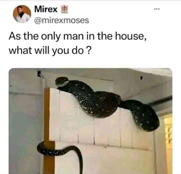 Please what a man can do, a woman can do better 💪🏼😂 | MirrorLog